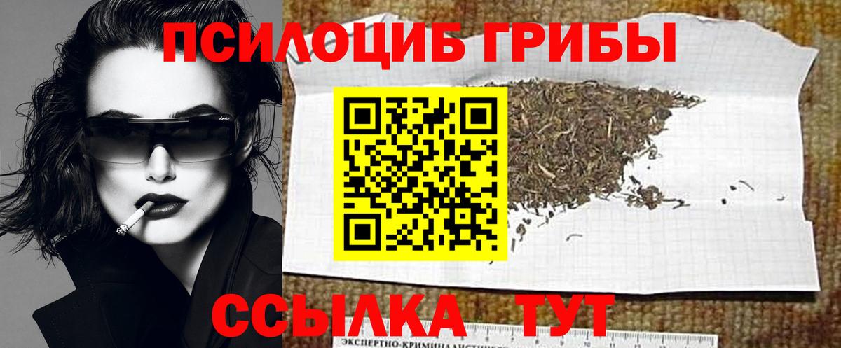 Галлюциногенные грибы мицелий  Псилоцибиновые грибы Psilocybe  Вход с VPN  Дзержинский 